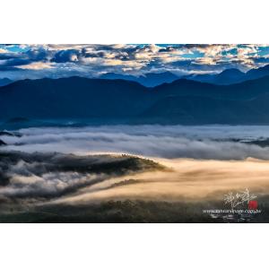 金龍山晨霧