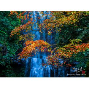 雲森瀑布