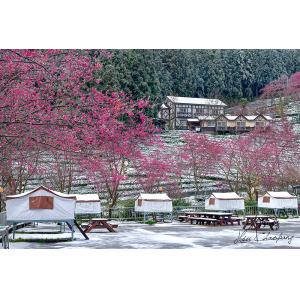 山上人家