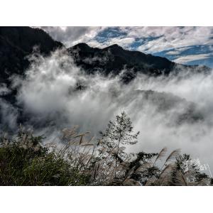 宇佬雲霧