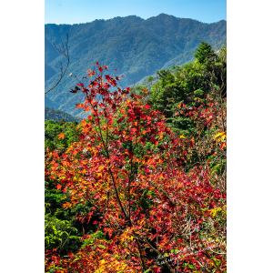 石門水庫