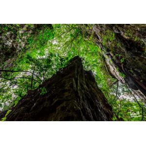 岡山一線天