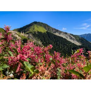 合歡山