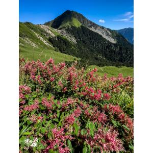 合歡山