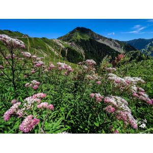 合歡山