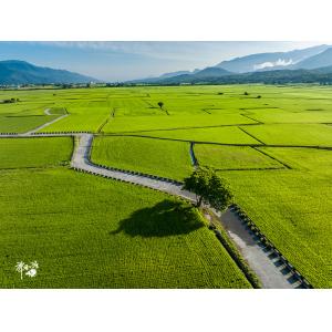 池上