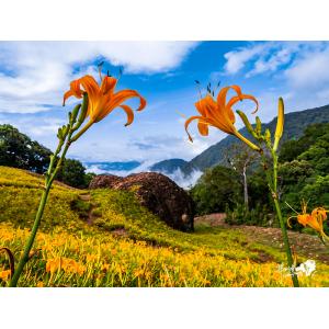花連玉里