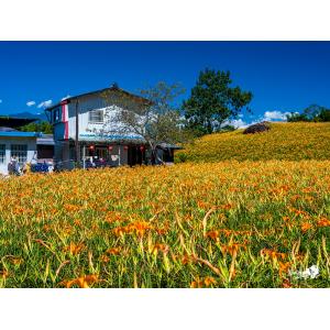 花蓮玉里
