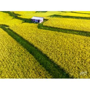 花連新社