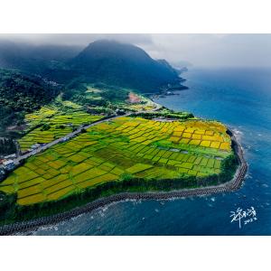 花連新社