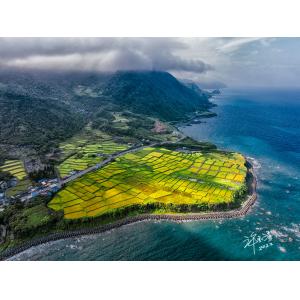 花連新社