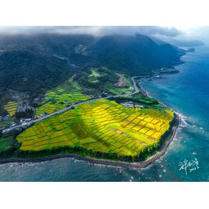 花連新社