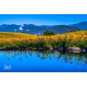 花連富里