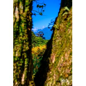 花連富里