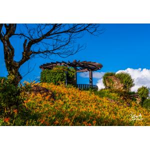 花連富里