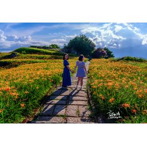 花連富里