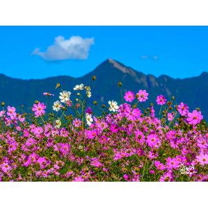 福壽山