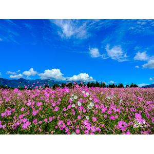 福壽山