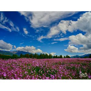 福壽山